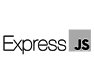 Express.js Icon