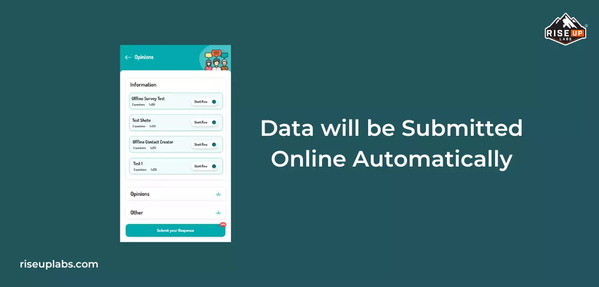 Solutions providesd by Riseup Labs developers